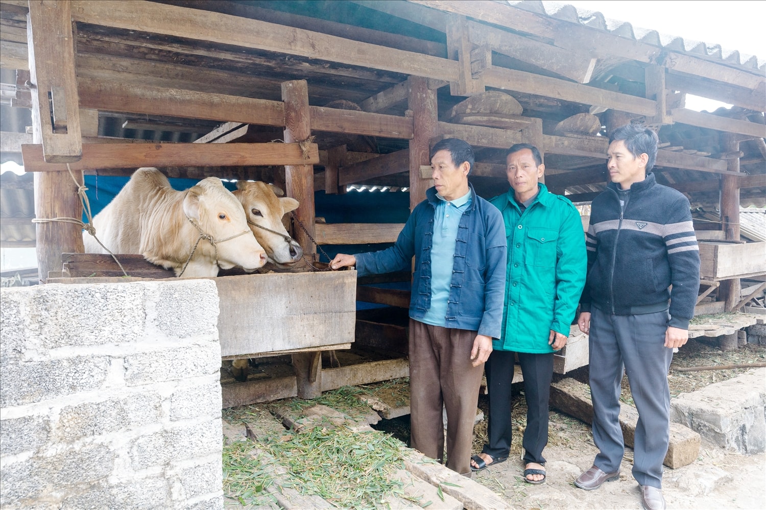 Cán bộ xã Cán Tỷ thăm và hướng dẫn các phòng chống rét cho gia súc tại nhà ông Giàng Nhìa Páo