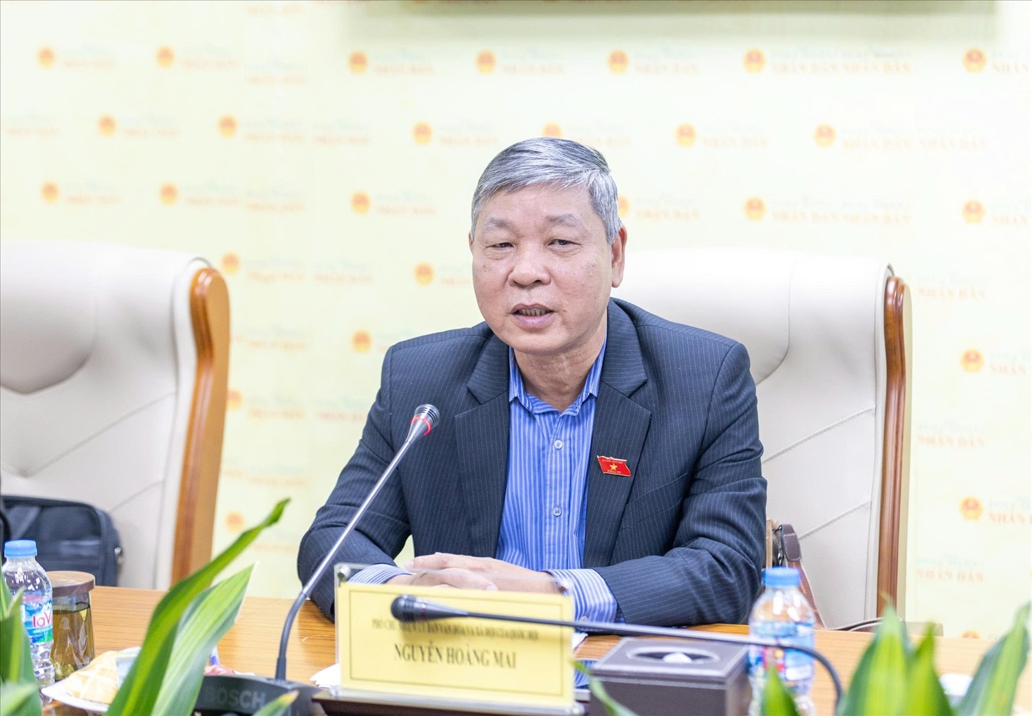 Phó Chủ nhiệm Ủy ban Văn hóa và Xã hội Nguyễn Hoàng Mai  phát biểu tại Tại chương trình giao lưu Công tác Dân số Việt Nam - Nền tảng cho sự phát triển bền vững của đất nước