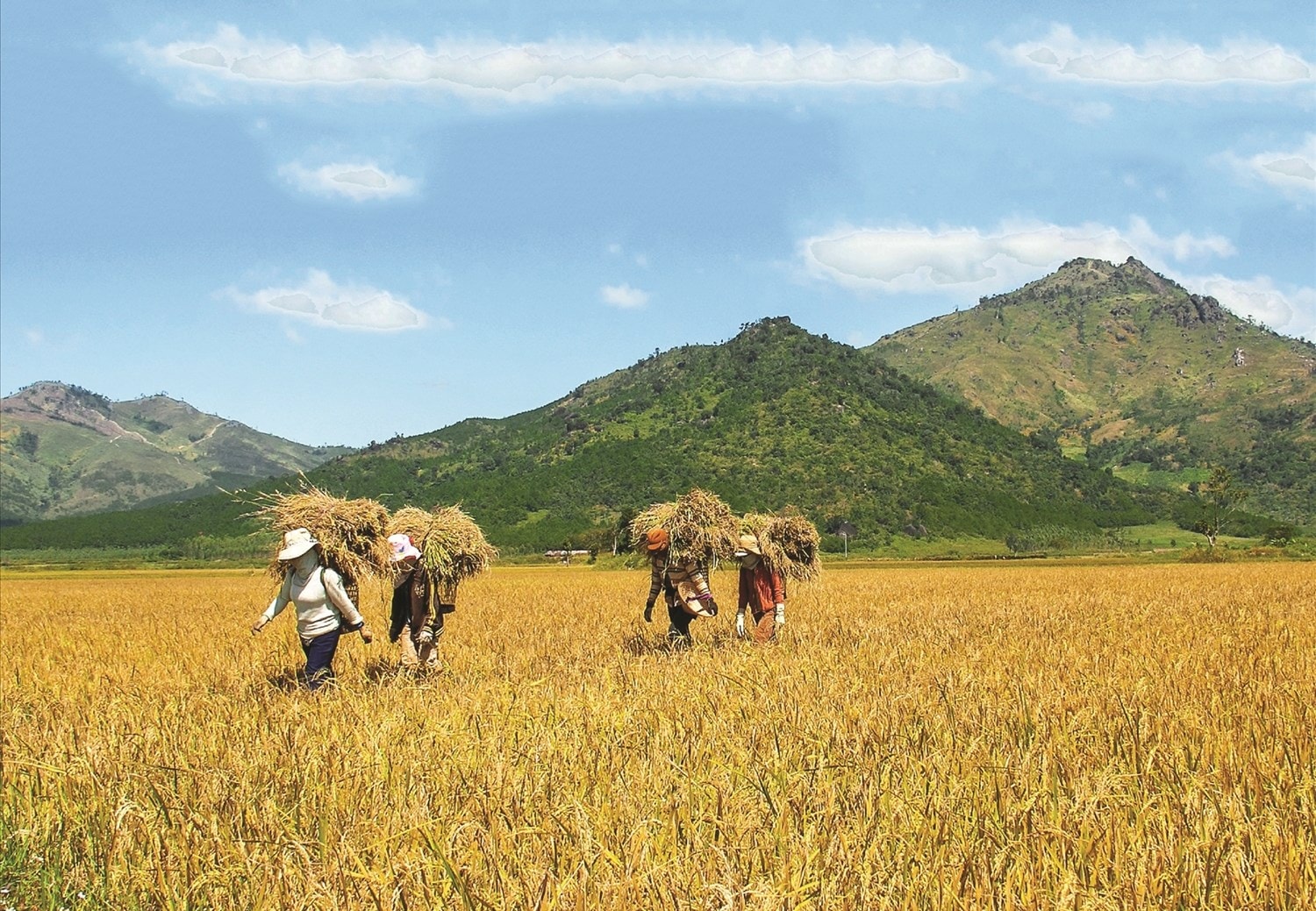 Năm nay, Plei Kép rất vui vì dân làng được vụ mùa bội thu, cả buôn làng ai nấy đều mừng rỡ