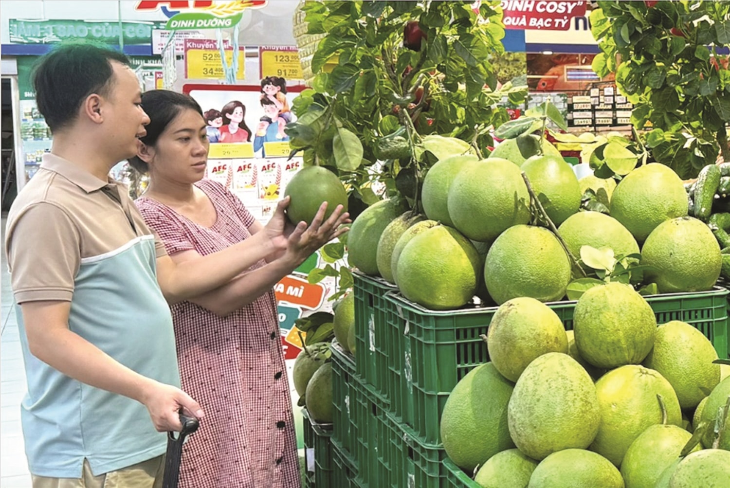Nhiều sản phẩm của các HTX vùng đồng bào DTTS và miền núi tỉnh Khánh Hoà được đưa vào siêu thị