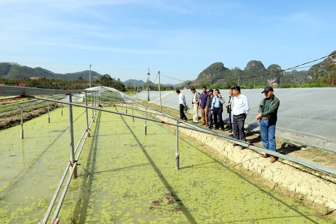 Đoàn công tác của Trung tâm Khuyến nông quốc gia tham quan mô hình nuôi ốc nhồi thương phẩm tại xã Thiện Tân, tỉnh Lạng Sơn