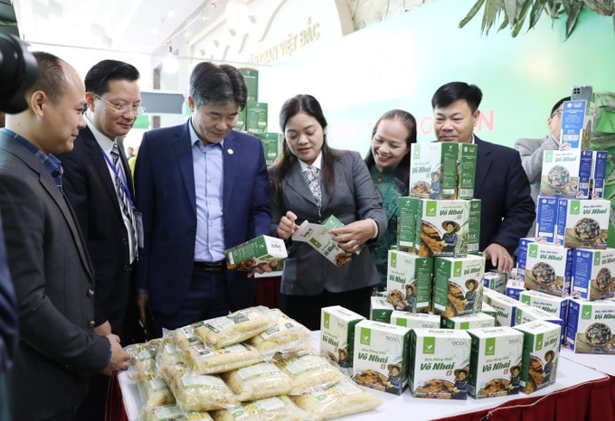 Các đại biểu tham quan các gian hàng trưng bày sản phẩm OCOP
