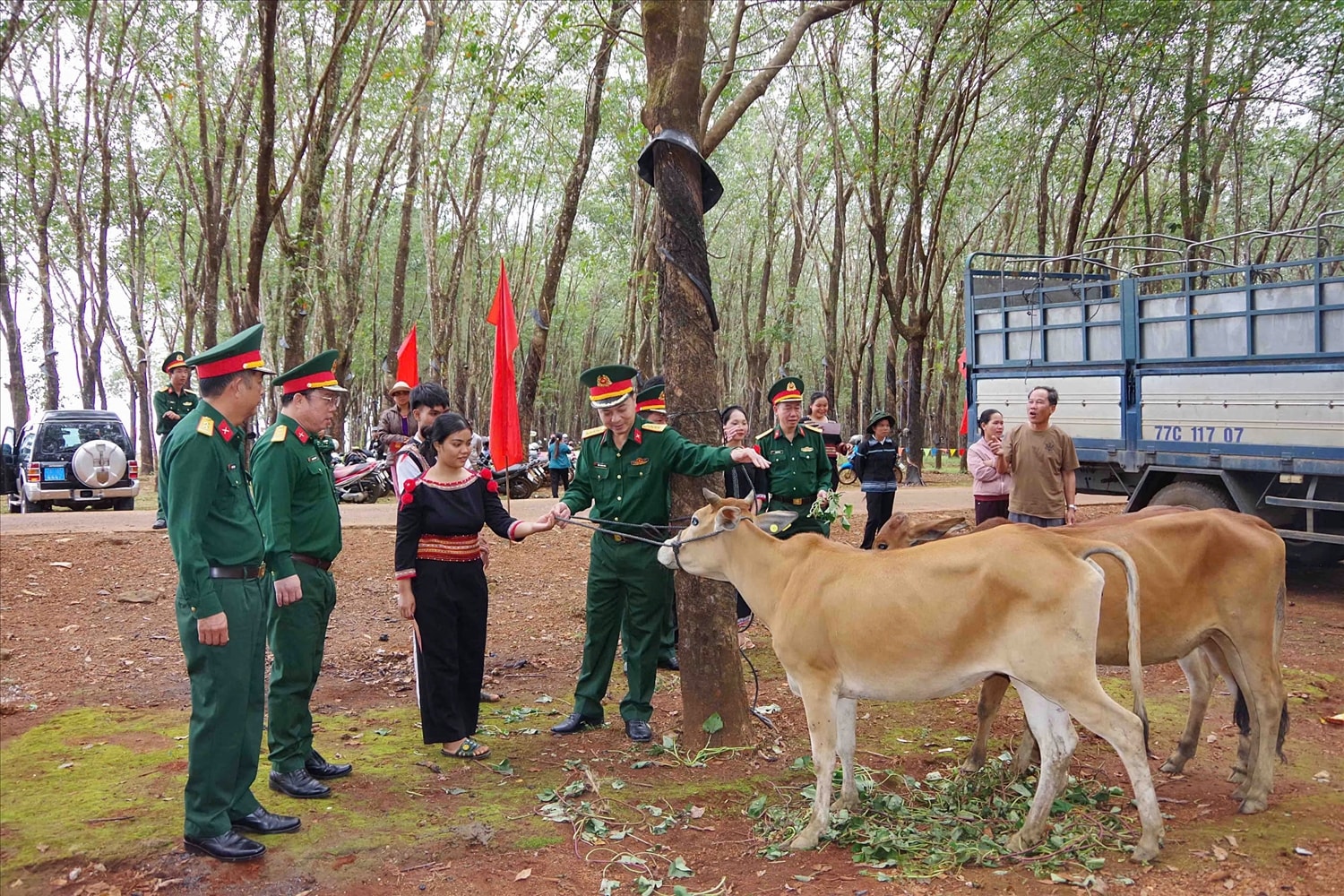 Lãnh đạo Đoàn Kinh tế - Quốc phòng 715 bàn giao bò giống sinh sản cho người dân Lãnh đạo Đoàn Kinh tế - Quốc phòng 715 bàn giao bò giống sinh sản cho người dân