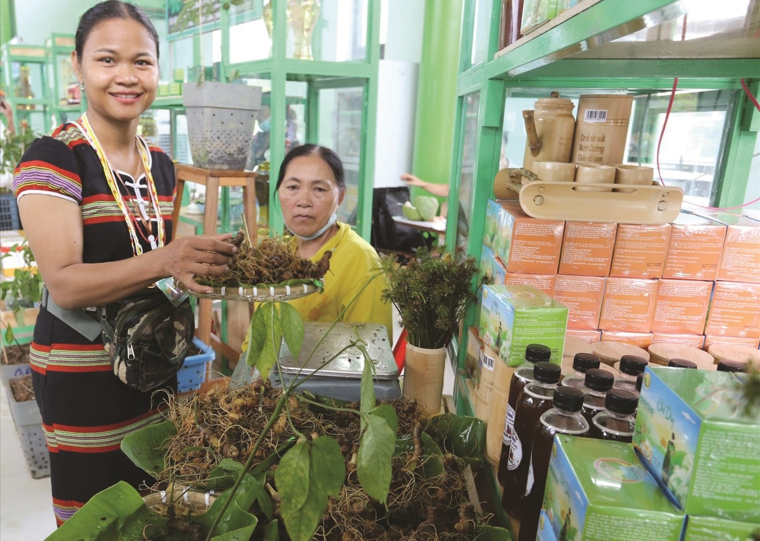 Chị Hồ Thị Mười là gương điển hình trong làm kinh tế  trên vùng đất sâm Ngọc Linh. Ảnh Huy Trường