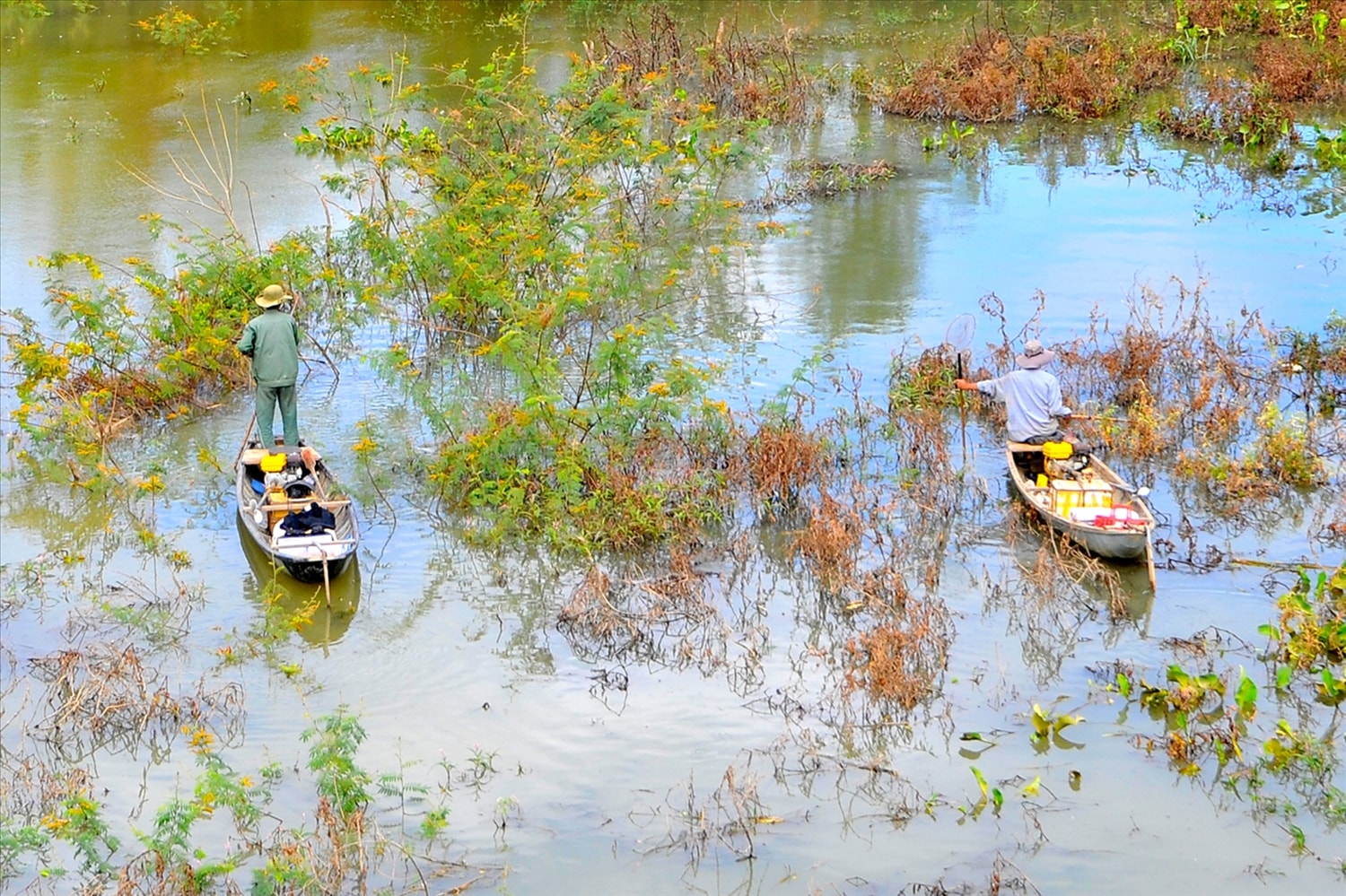 Người dân dùng kích điện bắt cá đoạn sông qua địa phận xã Ngọc Bay, tỉnh Quảng Ngãi.