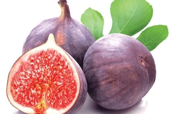 (Tổng hợp) Bài thuốc hay từ quả vả 2