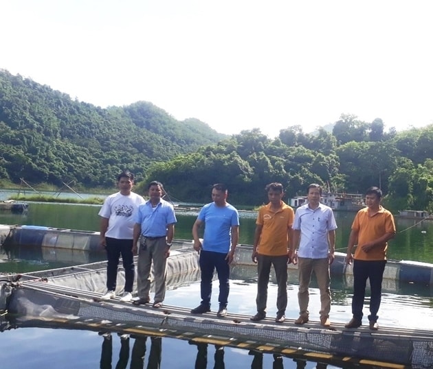 Tổ khuyến nông cộng đồng góp phần quan trọng vào mục tiêu xây dựng nền nông nghiệp sinh thái, nông thôn hiện đại, nông dân văn minh