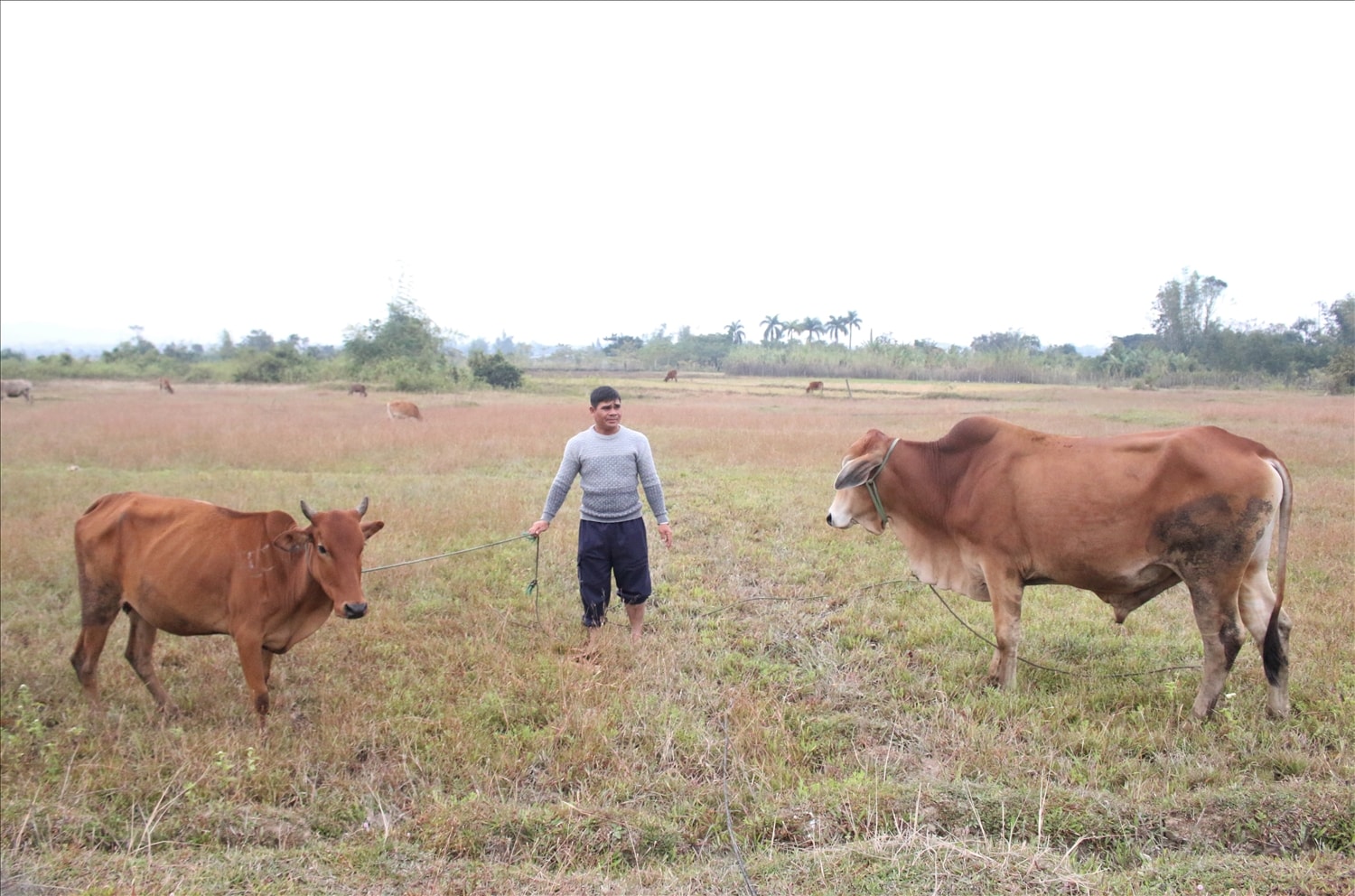 Anh A Kương, thôn Kon Mơ Nay Kơ Tu 1 vươn lên thoát nghèo nhờ sự hỗ trợ từ Chương trình MTQG giảm nghèo bền vững. Ảnh: Ngọc Chí