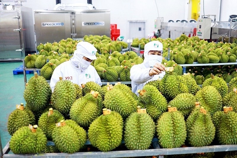 Trong nhóm nông sản chủ lực, nhiều mặt hàng ghi nhận mức tăng trưởng mạnh (Ảnh TL)