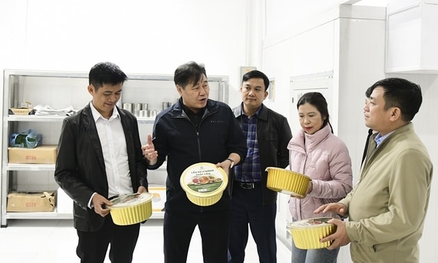  Hoạt động khuyến nông chuyển đổi cung cấp dịch vụ chuyên nghiệp gắn với chuỗi giá trị, thị trường và phát triển bền vững