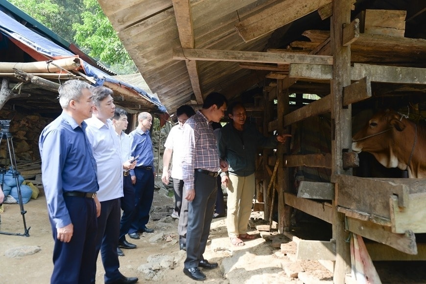 Gia đình ông Lý Văn Sinh - Bí thư chi bộ kiêm Trưởng xóm Văn Thụ, xã Nam Tuấn, là người tiên phong nuôi nhốt gia súc tập trung.
