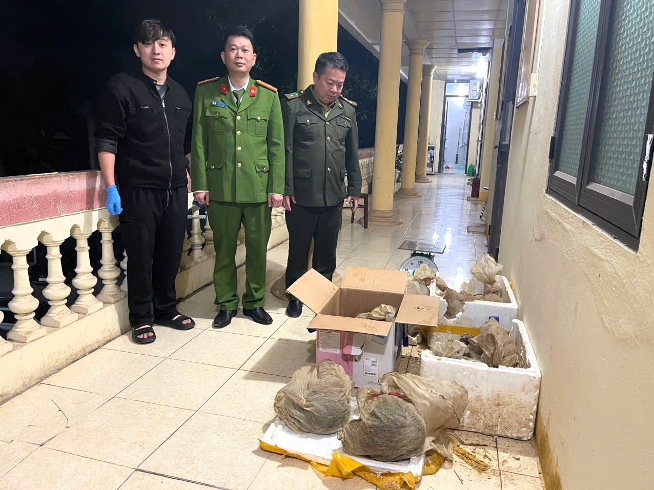 Lực lượng chức năng phát hiện 12 cá thể tê tê Java còn sống bên trong 2 thùng xốp dán kín. Ảnh: VQG Cúc Phương