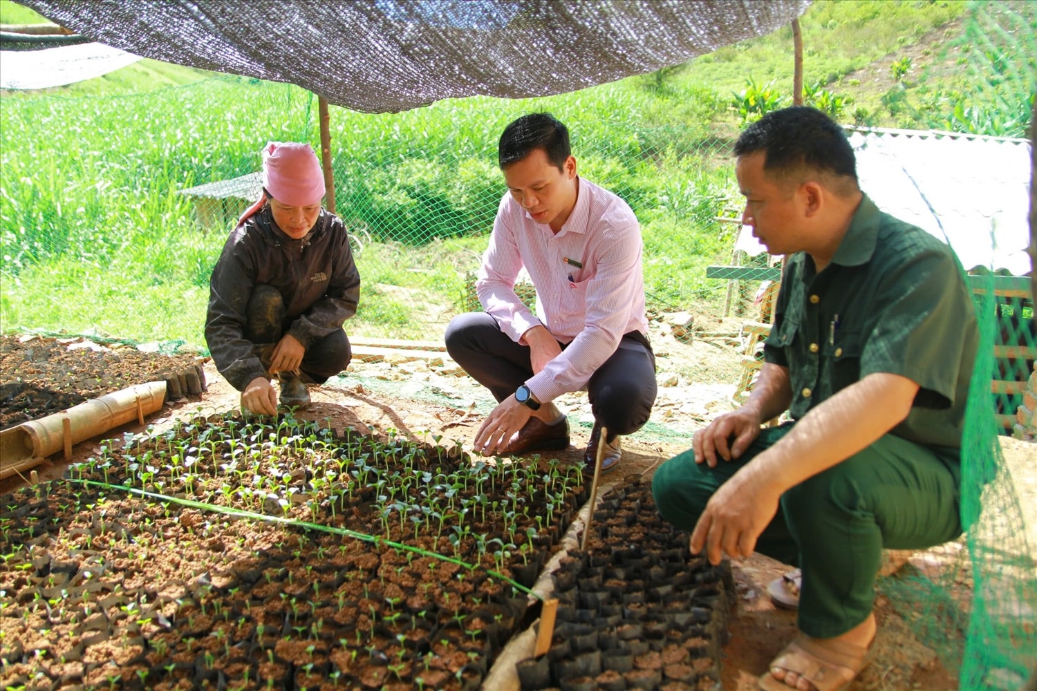 Giám đốc Phòng Giao dịch NHCSXH Thuận Châu (Sơn La) Lê Xuân Tuyền kiểm tra sử dụng nguồn vốn vay trên địa bàn