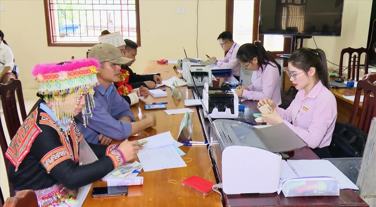 Chi nhánh NHCSXH tỉnh Tuyên Quang phấn đấu đến 15/12 hoàn thành 100% các chỉ tiêu kế hoạch tăng trưởng các chương trình tín dụng