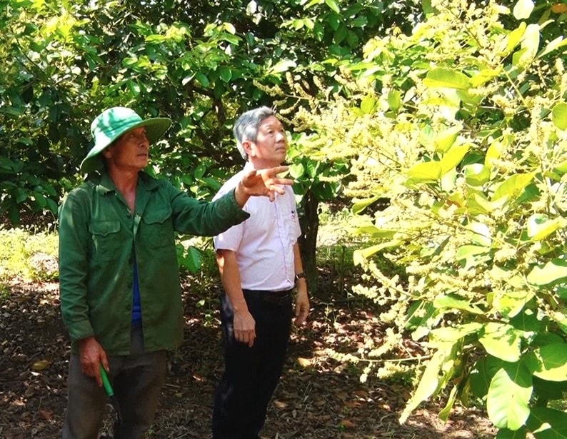 Ông Ngần Văn Út (ngoài cùng bên trái) ở xã Dầu Giây, tỉnh Đồng Nai giới thiệu về vườn cây trái của gia đình nhờ nguồn vốn tín dụng chính sách