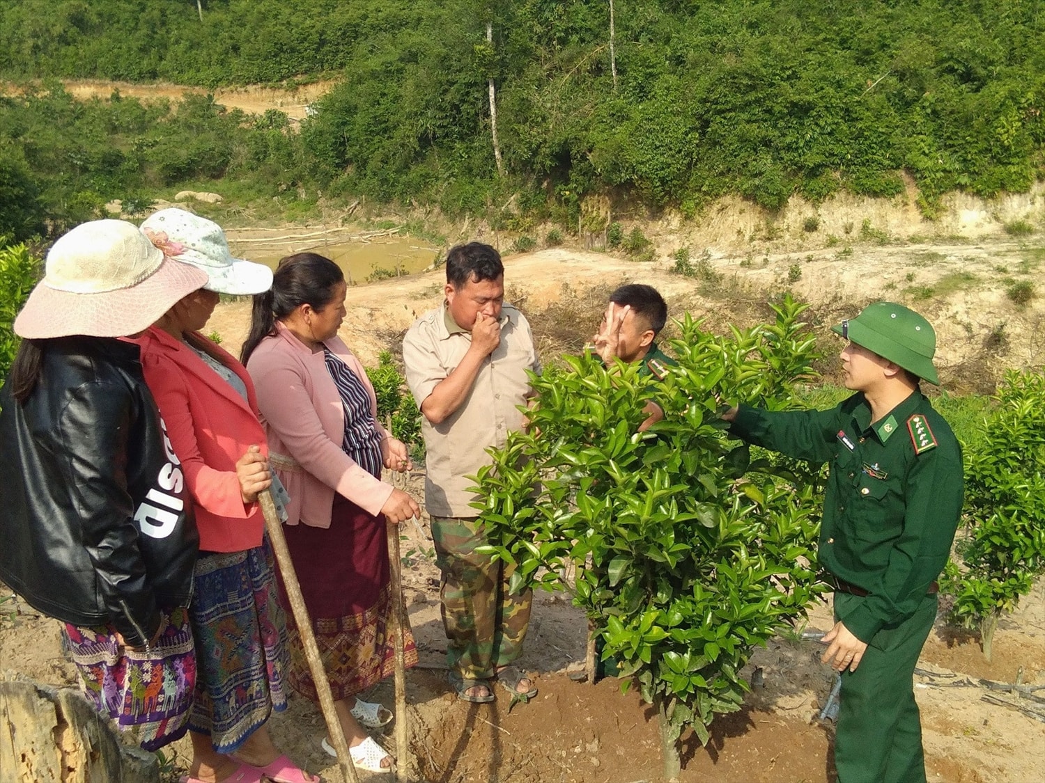 Đồn Biên phòng Thông Thụ hướng dẫn người dân bản Nậm Táy, cụm bản Viêng Phăn, huyện Sầm Tớ, tỉnh Hủa Phăn, nước Cộng hòa Dân chủ Nhân dân Lào trồng cam