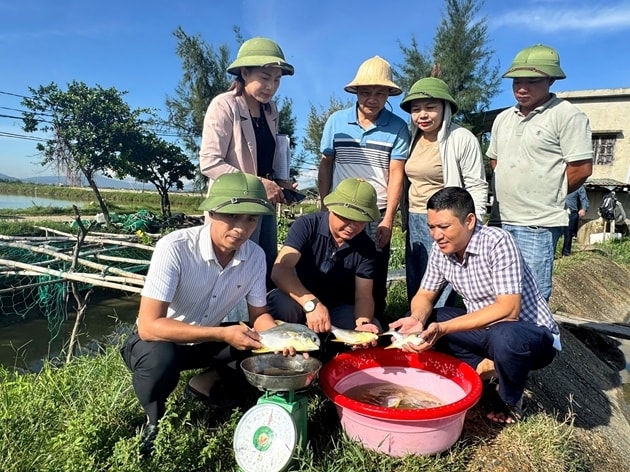 Hà Tĩnh đổi mới công tác khuyến nông bằng cách đẩy mạnh liên kết sản xuất – tiêu thụ theo chuỗi giá trị