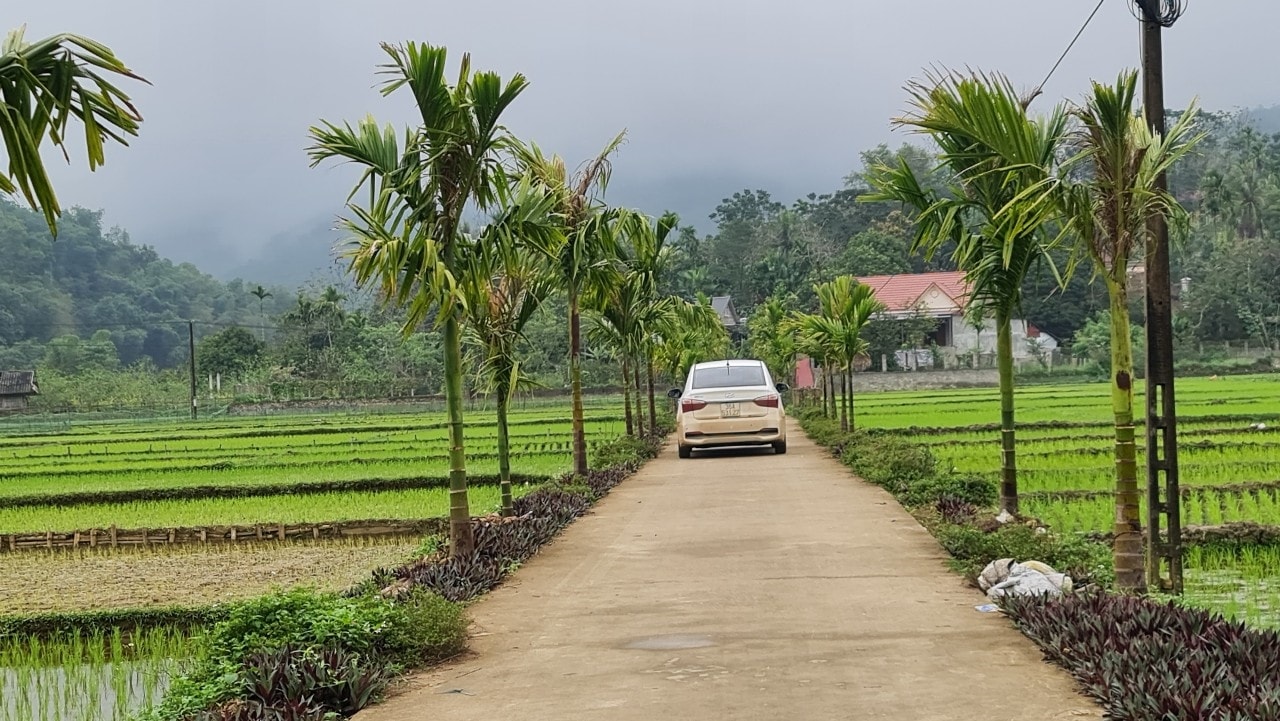 Người dân chung sức xây dựng nông thôn mới, góp phần đổi thay diện mạo các vùng quê Thanh Hóa. (ảnh Quỳnh Trâm)