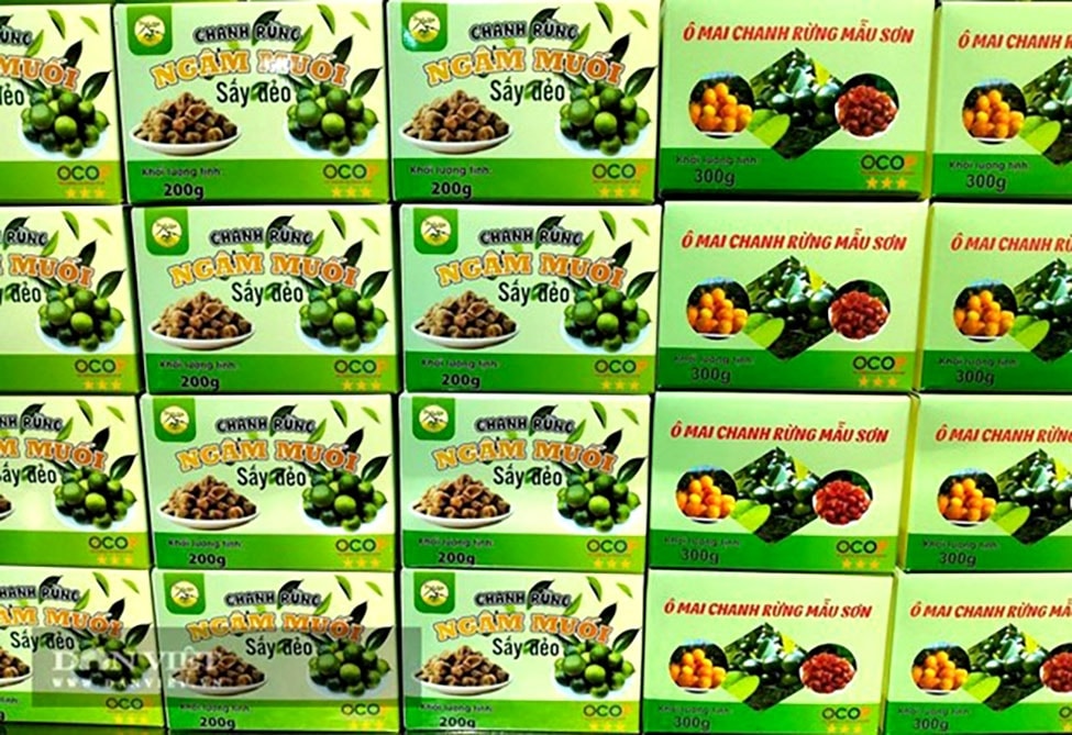 Đến nay Hợp tác xã Nông trang sinh thái Mẫu Sơn đã sở hữu 