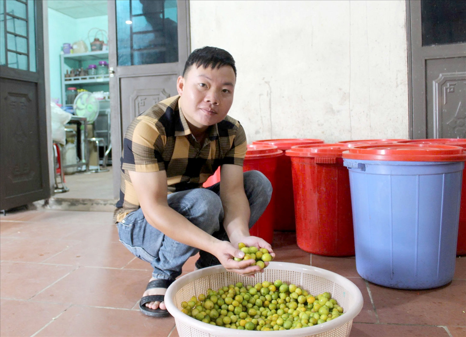 Chàng trai dân tộc Dao “biến” quả rừng thành kinh tế trên đỉnh núi Mẫu Sơn 
