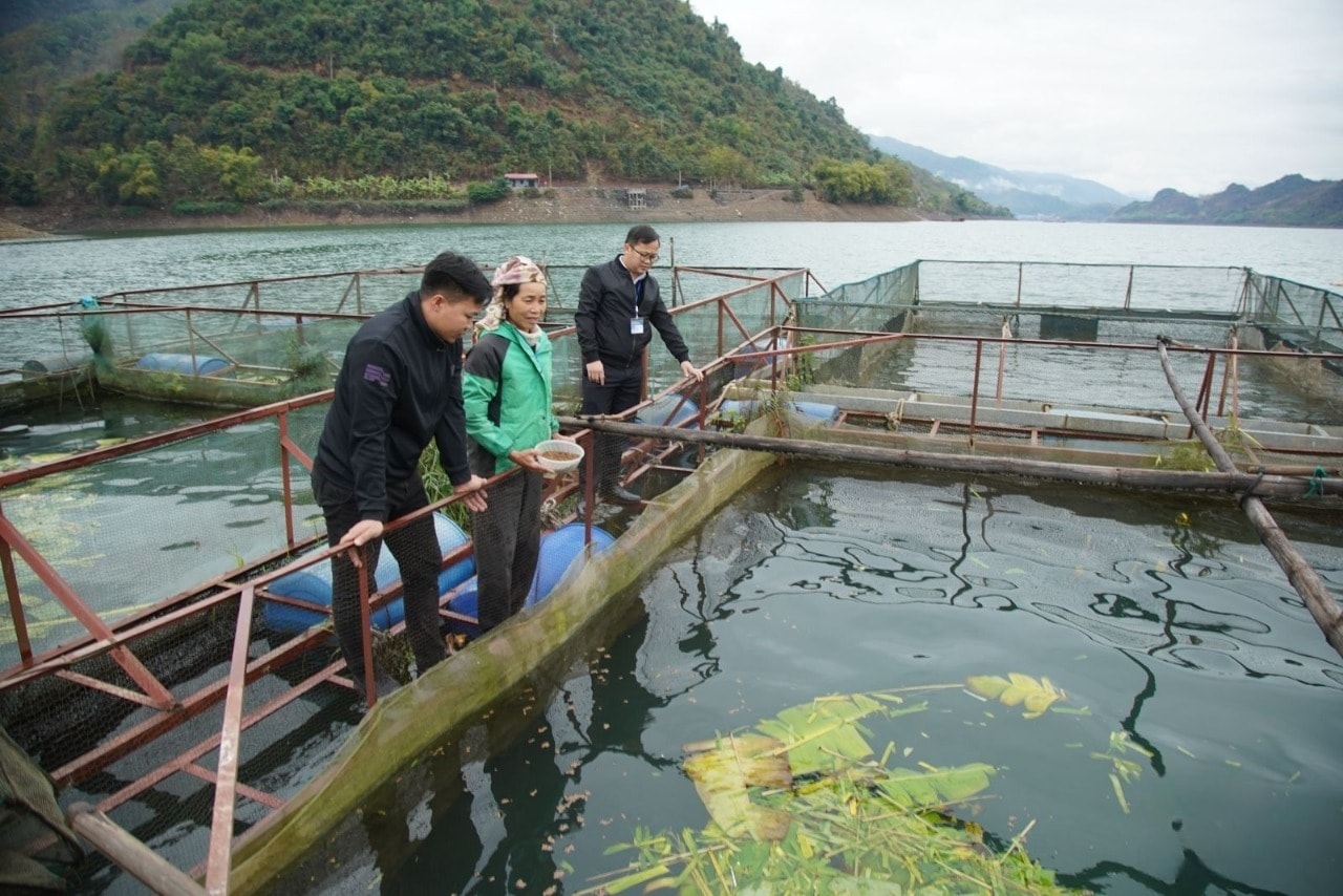 Những lồng cá trên lòng hồ thủy điện đang giúp đồng bào DTTS ở xã Tường Hạ thoát nghèo, vươn lên làm giàu.