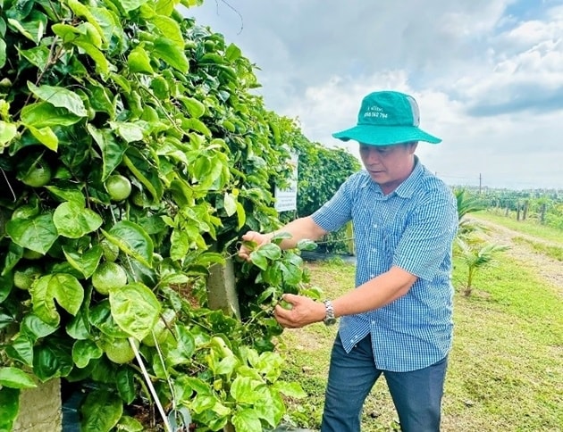 Kinh tế tập thể góp phần giảm nghèo, ổn định đời sống nông thôn