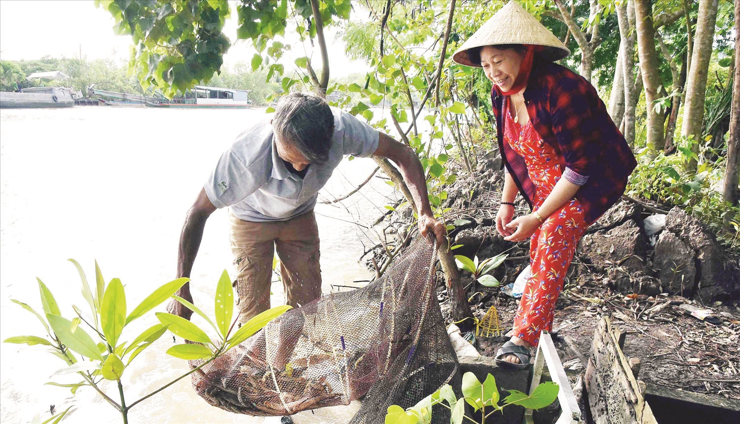 Gia đình ông Danh Phe, ở ấp 7, xã Nguyễn Phích, tỉnh Cà Mau có thu nhập ổn định, từ nguồn vốn tín dụng ưu đãi,  địa phương hỗ trợ kỹ thuật sản xuất, giúp ông vươn lên thoát nghèo