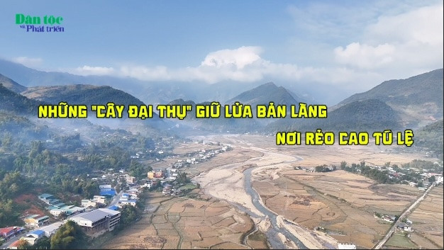 Những