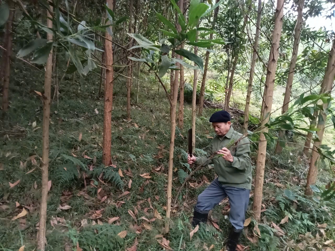 Ông Ma Doãn Như, Người có uy tín trong thôn, gương mẫu phát dọn thực bì, tỉa cành cây để đảm bảo an toàn trong công tác phòng cháy chữa cháy rừng.