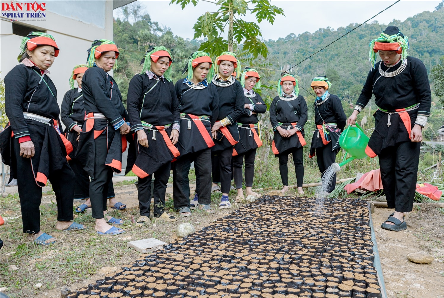 Các học viên trong lớp thực hiện thao tác chăm sóc ươm mầm cây con Các học viên trong lớp thực hiện thao tác chăm sóc ươm mầm cây con