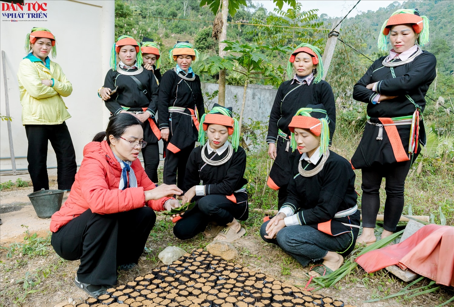 Giảng viên Tạ Thị Thu Hằng: Khi được học bài bản, các học viên rất hào hứng, tiếp thu nhanh, đặc biệt là các nội dung về nhân giống, chăm sóc theo từng giai đoạn sinh trưởng của cây. Giảng viên Tạ Thị Thu Hằng: Khi được học bài bản, các học viên rất hào hứng, tiếp thu nhanh, đặc biệt là các nội dung về nhân giống, chăm sóc theo từng giai đoạn sinh trưởng của cây.