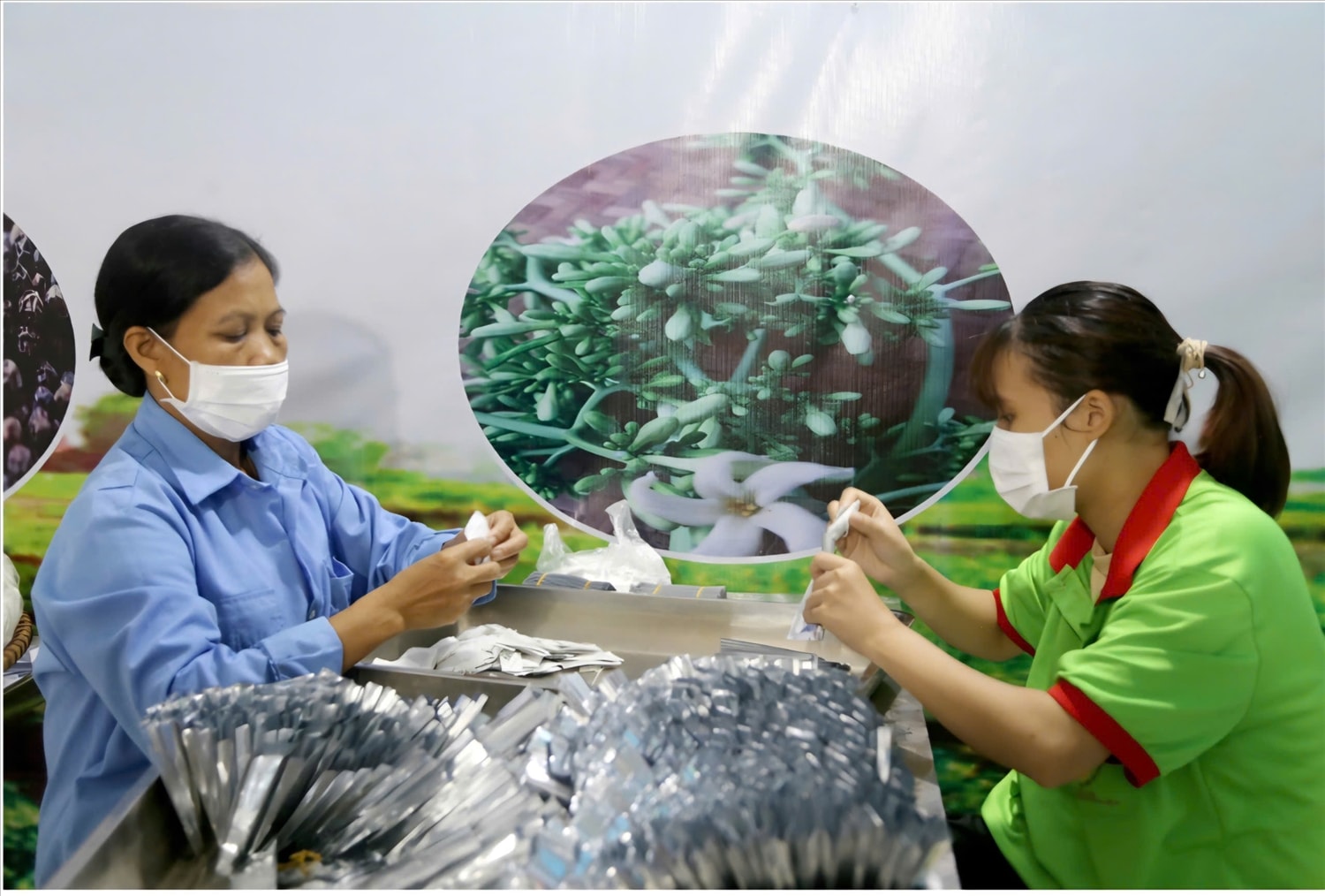 Sản phẩm “Trà hoa đu đủ đực - xạ đen tía” đảm bảo yêu cầu chất lượng, được khách hàng ưa chuộng.