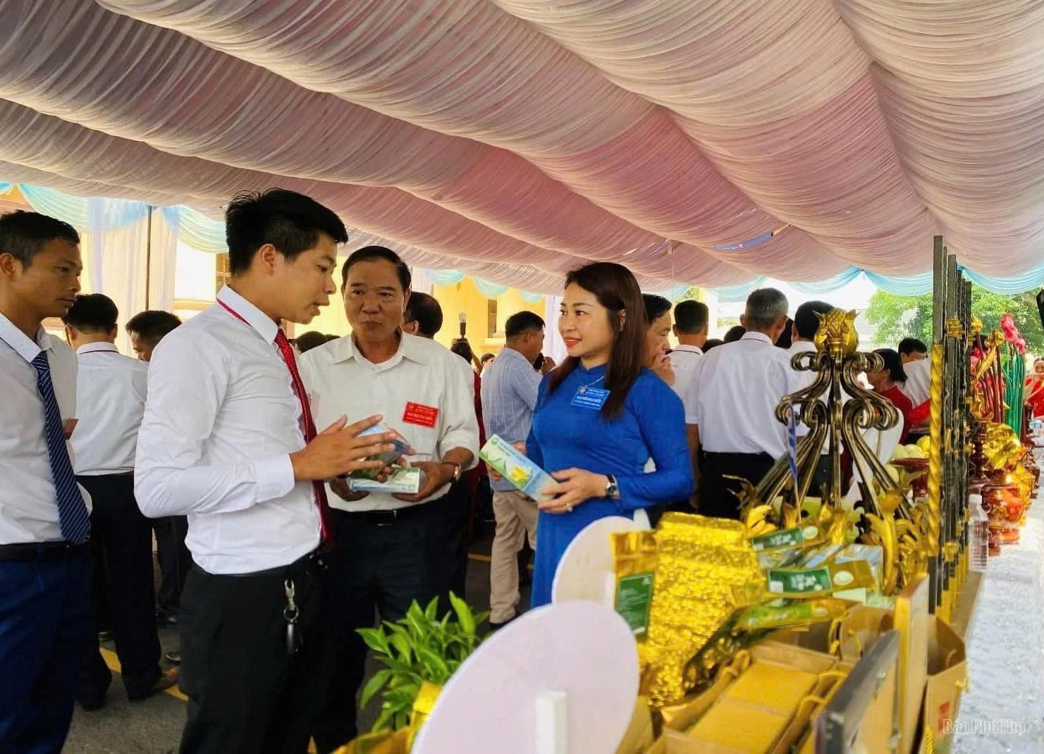Để có nguồn nguyên liệu đảm bảo trong sản xuất, HTX đã mở rộng diện tích 12,5ha tại địa phương.