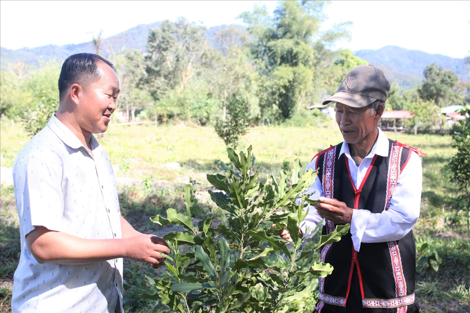 Ông A Khăm (áo thổ cẩm), già làng, Người có uy tín thôn Đăk Dé, xã Ngọk Tụ tuyên truyền, vận động bà con chuyển đổi đất trồng sắn sang trồng cây mắc ca. (Ảnh: Ngọc Chí)