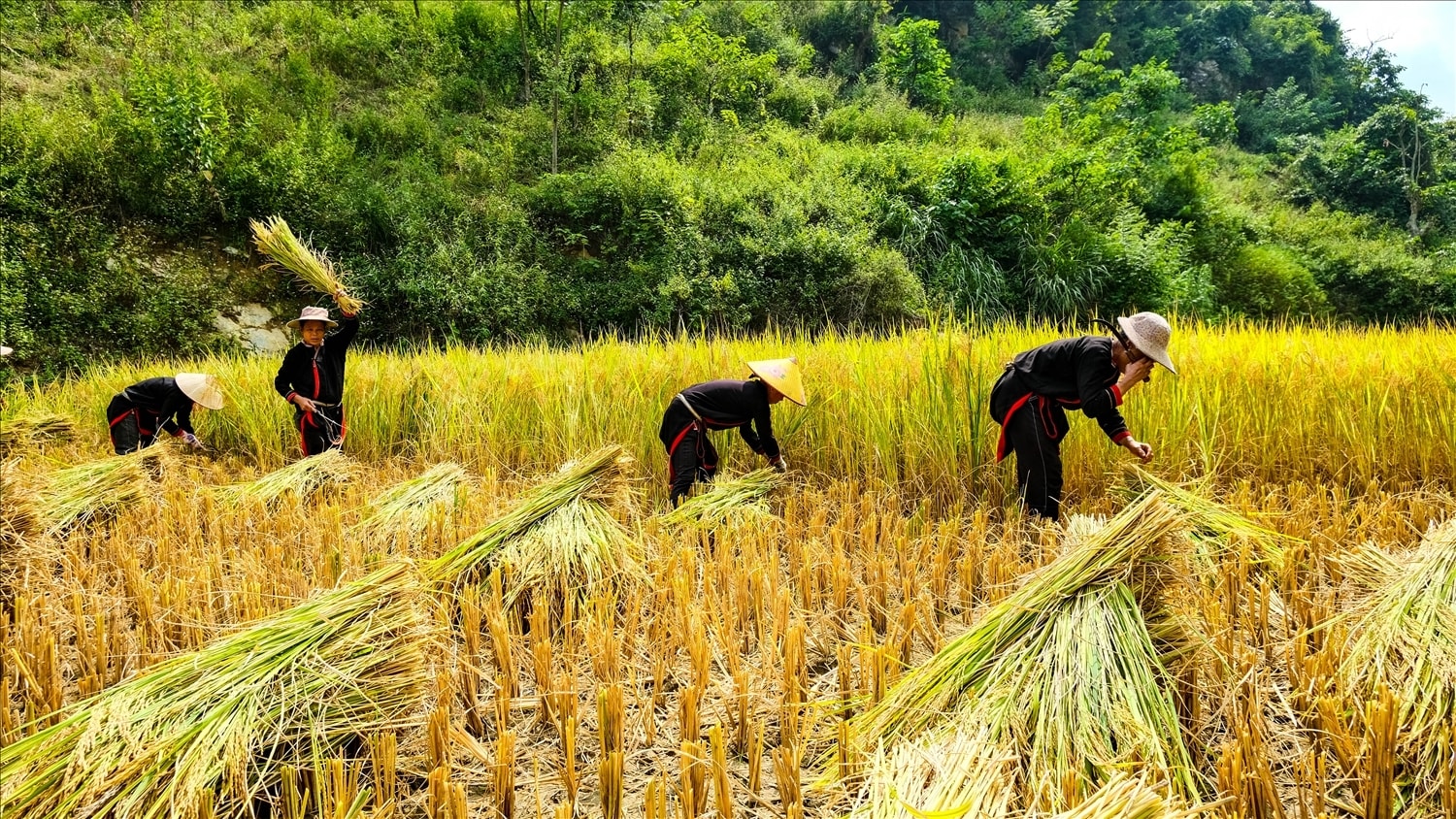 Tỉnh Cao Bằng đặt mục tiêu đến năm 2030 nâng thu nhập bình quân của người DTTS bằng 1/2 trở lên so với bình quân chung của cả nước.