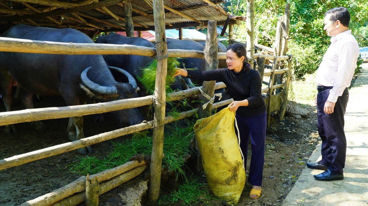 Tín dụng chính sách đồng hành cùng người dân Tín dụng chính sách đồng hành cùng người dân