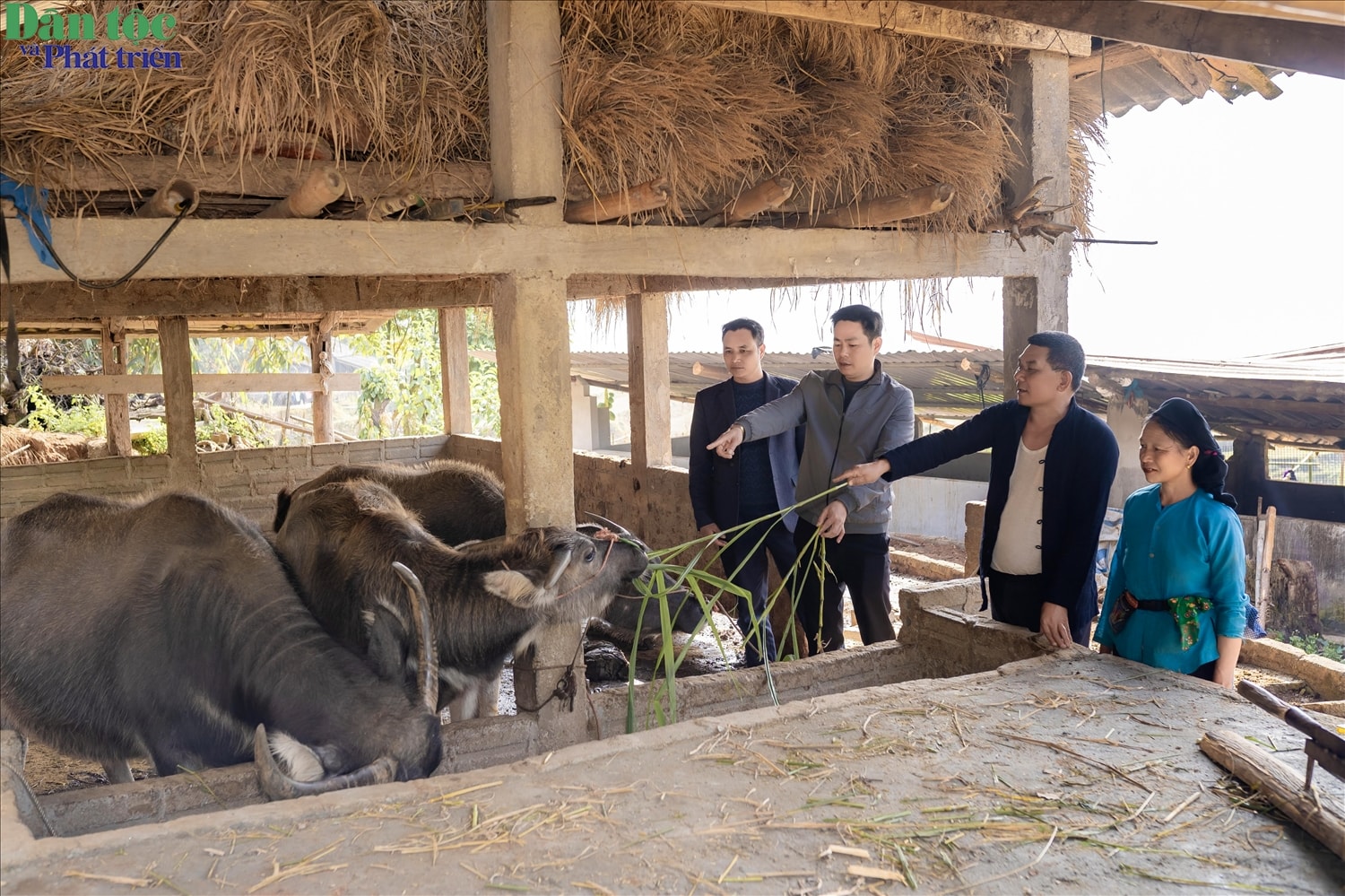 Nhà ở không chỉ đáp ứng nhu cầu sinh hoạt thiết yếu mà còn là nền tảng quan trọng cho quá trình ổn định đời sống và phát triển kinh tế của người dân xã Tân Tiến