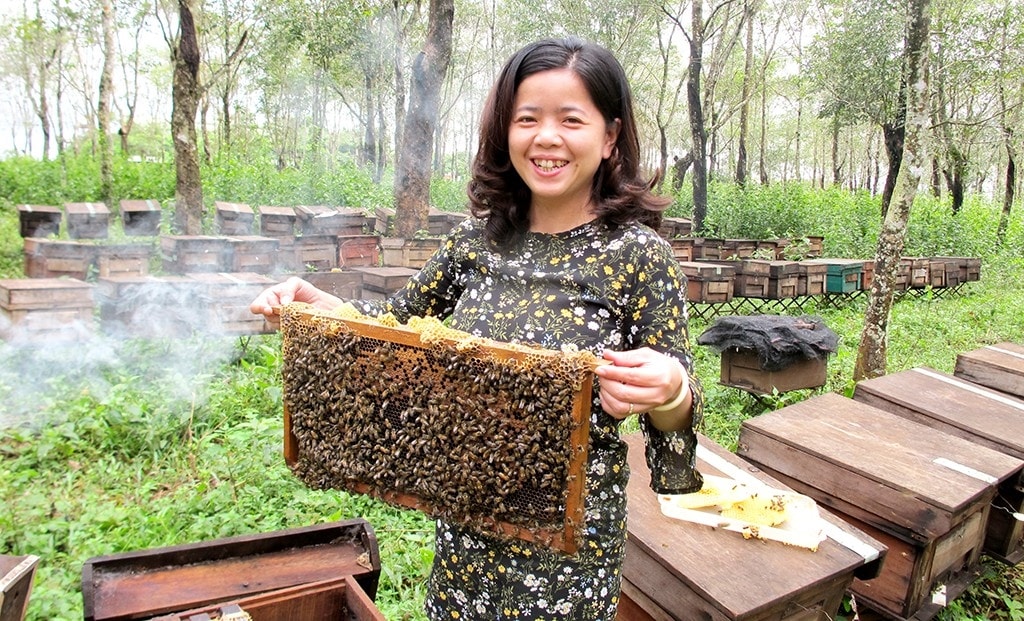Cô gái phố núi Hoàng Anh chăm chút cho thương hiệu mật ong Phương Di đặc sản của quê nhà