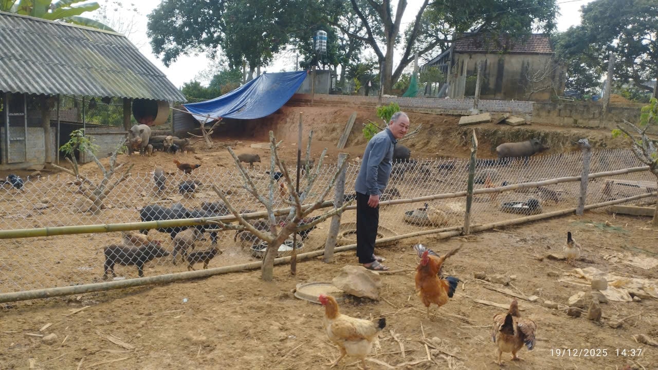 Ông Ma Văn Hiệu – Người có uy tín, luôn đi đầu trong phát triển kinh tế, vươn lên làm giàu và làm gương cho bà con Nhân dân địa phương. (Ảnh: Vân Khánh)