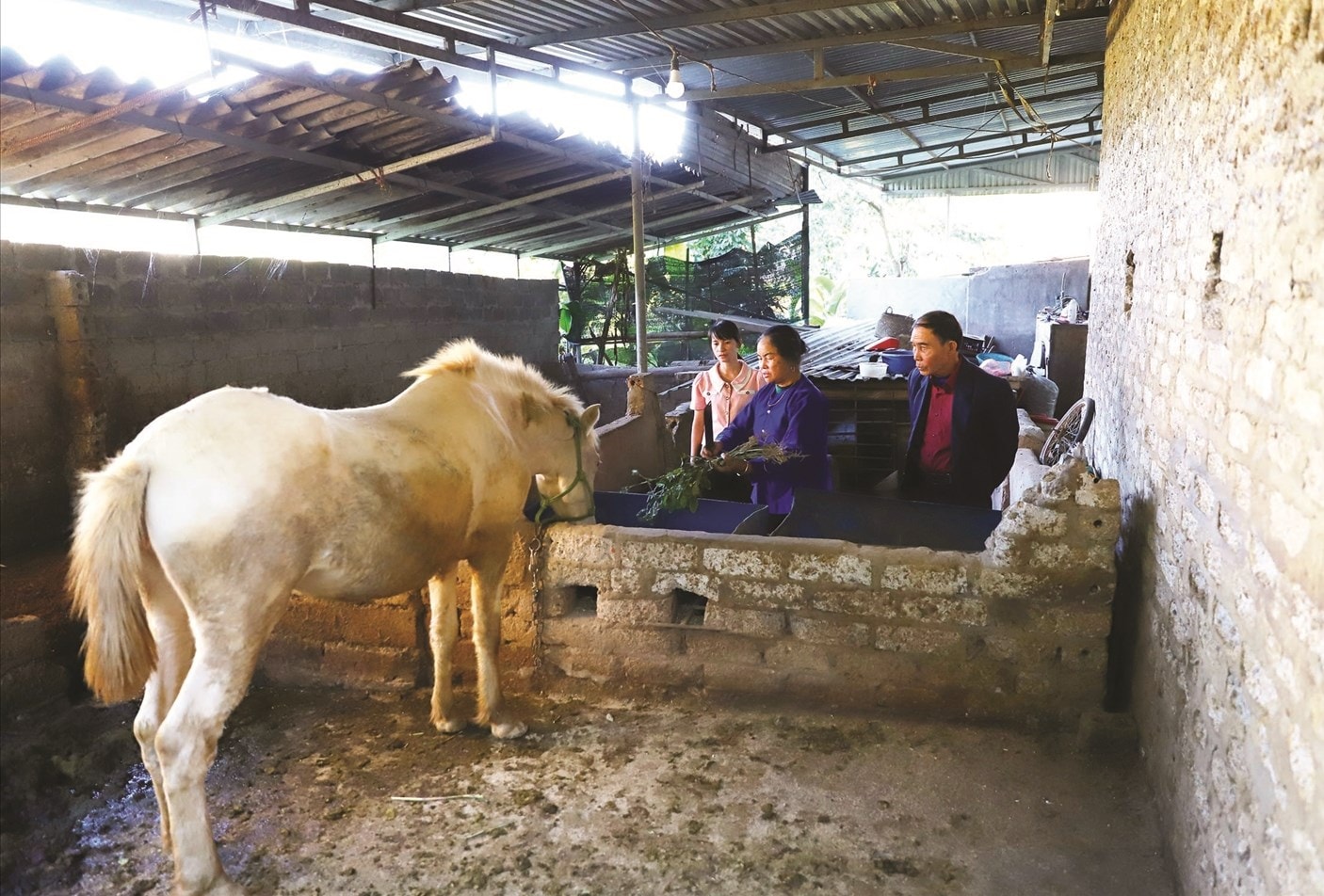 Ông Hoàng Ngọc Xuyên tích cực vận động người dân chuyển đổi cơ cấu cây trồng, vật nuôi