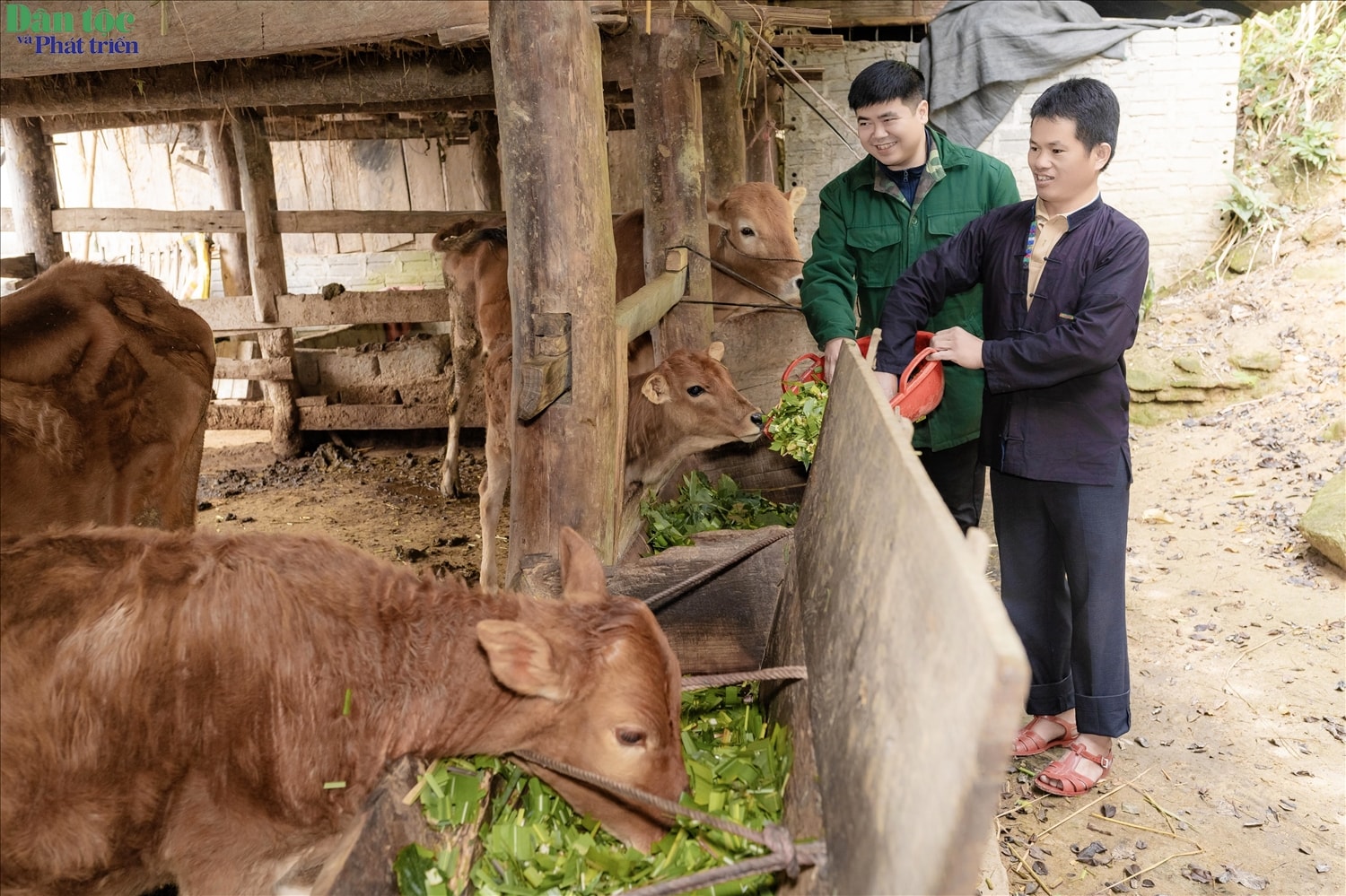 Tại thôn Nàng Ha, gia đình anh Tải Seo Vịnh cũng đang cảm nhận rõ hiệu quả từ nguồn vốn hỗ trợ sinh kế Tại thôn Nàng Ha, gia đình anh Tải Seo Vịnh cũng đang cảm nhận rõ hiệu quả từ nguồn vốn hỗ trợ sinh kế