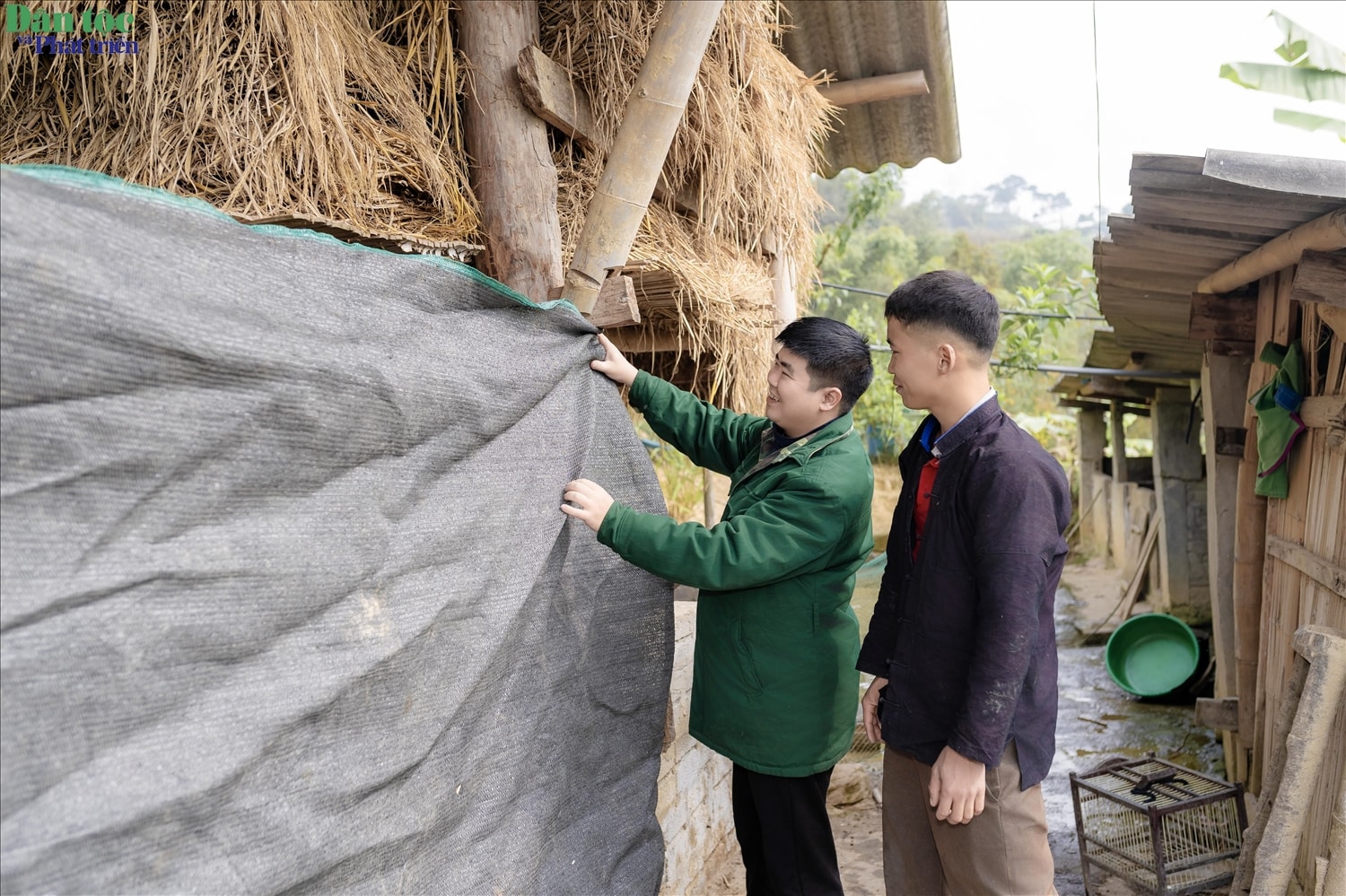 Cán bộ địa phương hướng dẫn anh Tỉn cách phòng tránh rét cho đàn trâu Cán bộ địa phương hướng dẫn anh Tỉn cách phòng tránh rét cho đàn trâu