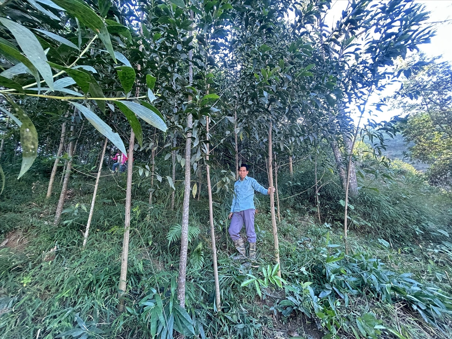 Đội ngũ Người có uy tín trên địa bàn xã Thiện Hoà ngoài vai trò là cầu nối giữ Nhà nước với Nhân dân còn là những tấm gương đi đầu trong phát triển kinh tế 