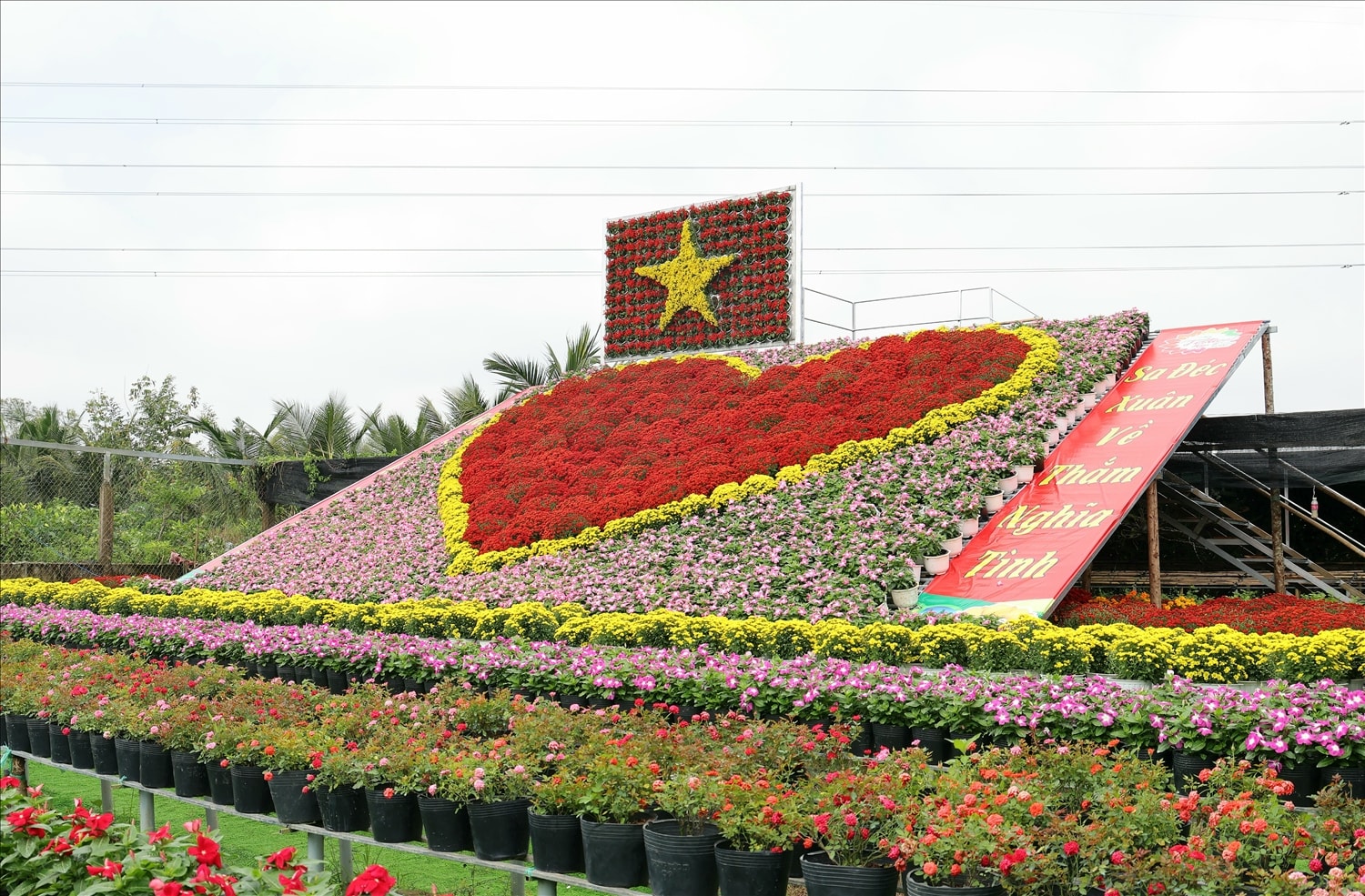 Nổi bật trong khung cảnh rực rỡ trước thềm Festival là hình ảnh ‘Trái tim làng hoa Sa Đéc’, khiến ai đi ngang cũng phải dừng chân nhìn ngắm. Trong đó, hình trái tim được tạo hình bằng cúc mâm xôi đỏ, viền vàng từ cúc pico, nền hồng phấn kết hợp hoa rau dừa, sao nhái, xác pháo.