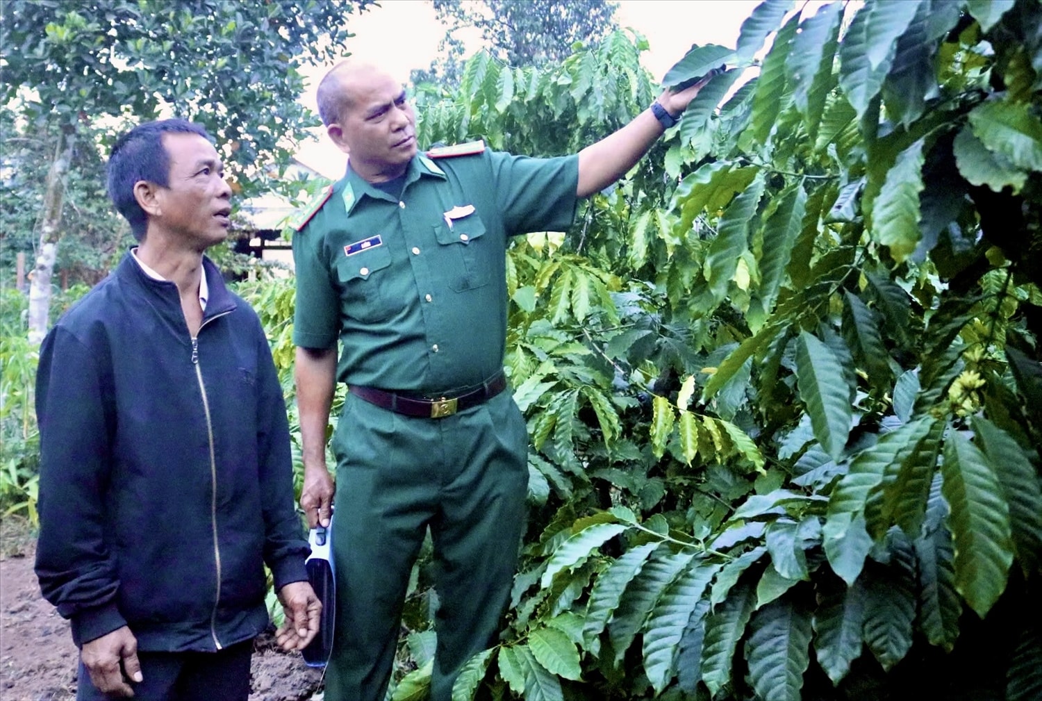 Đại úy A Bừng hướng dẫn người dân cách chăm sóc cây cà phê cho hiệu quả và đạt năng suất cao. (Ảnh: Ngọc Chí)