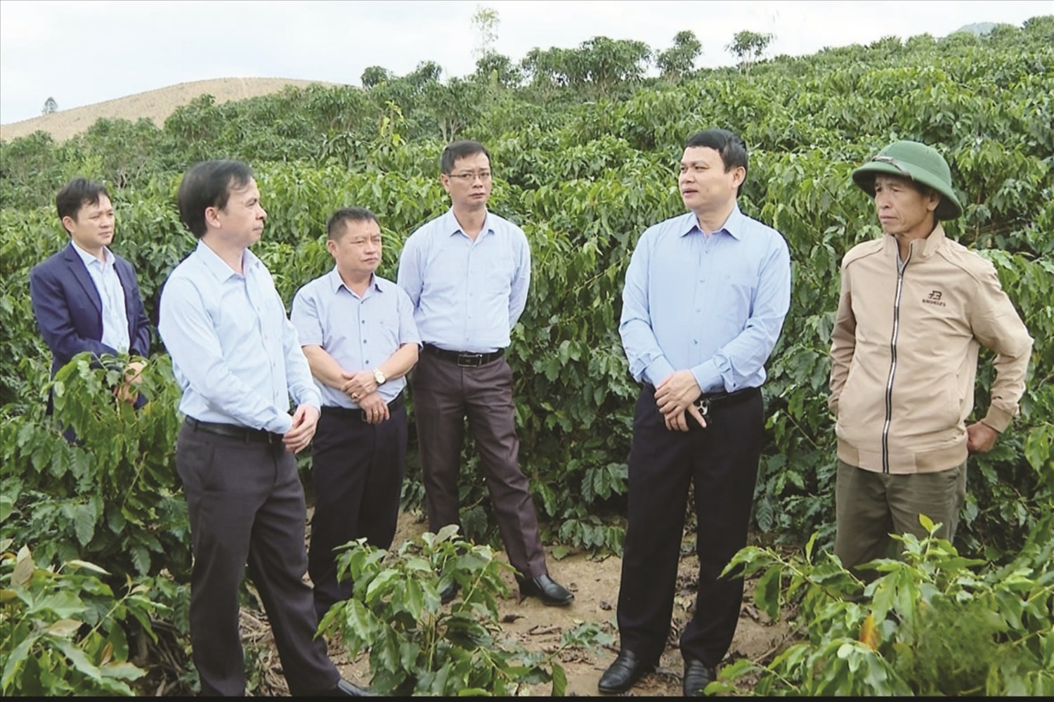 Chính sách hỗ trợ phát triển sản xuất đã góp phần nâng cao đời sống cho người dân Chính sách hỗ trợ phát triển sản xuất đã góp phần nâng cao đời sống cho người dân