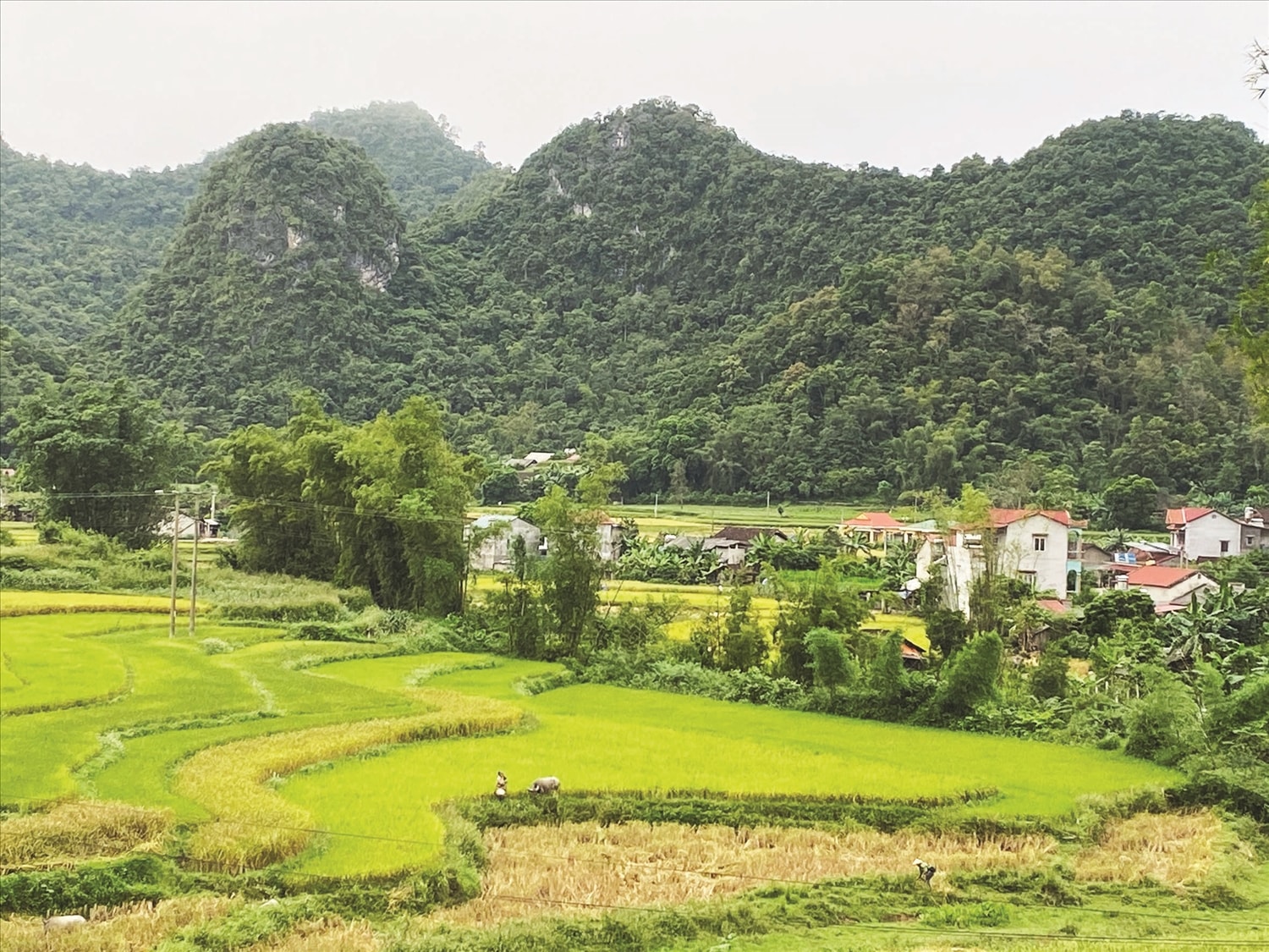 Một góc yên bình ở Hà Quảng, Cao Bằng