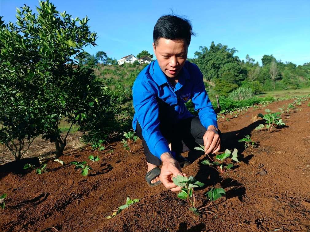 Những đảng viên trẻ nhiệt huyết ở Gia Lai 