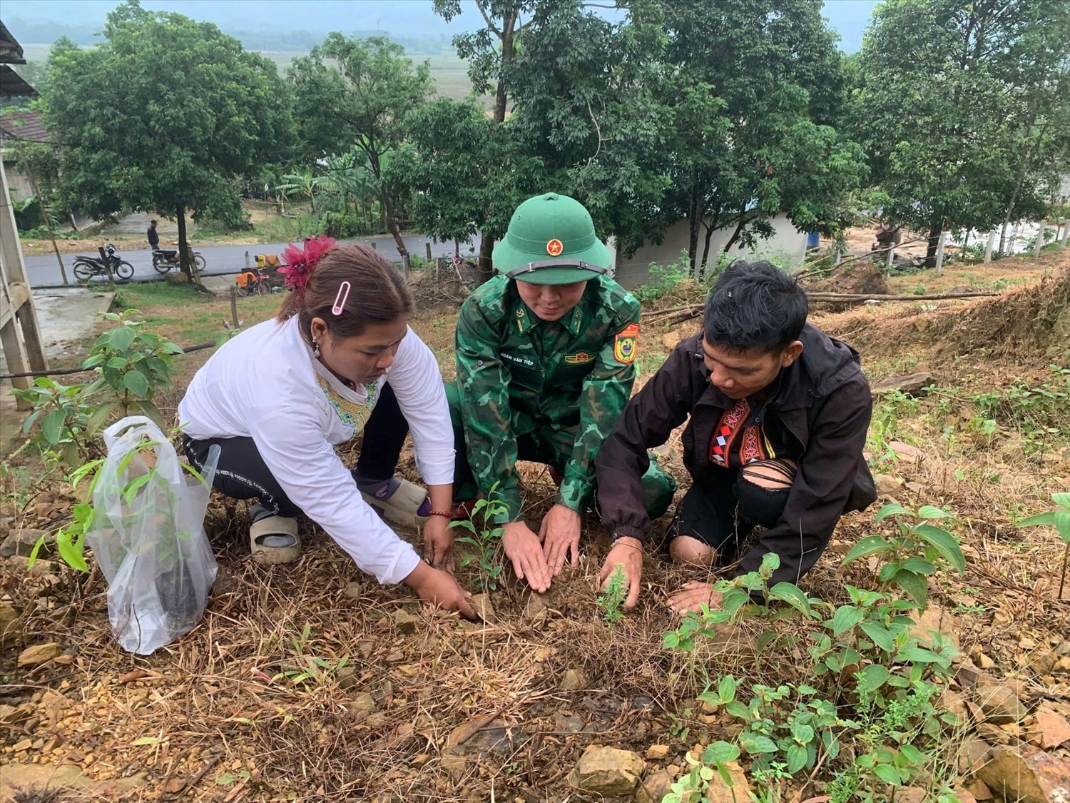 Thiếu tá Đoàn Văn Tiệp hướng dẫn đồng bào Chứt ở bản Rào Tre trồng cây trầm gió. Ảnh: Phạm Tiến