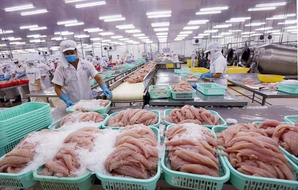 Dự báo nhiều khó khăn, áp lực cạnh tranh gia tăng đối với ngành thủy sản trong năm 2026 (Ảnh IT)
